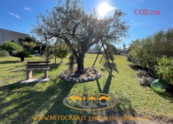 Foto 103 - Villa San Salvatore Telesino - foto 103