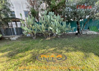 Foto 112 - Villa San Salvatore Telesino - foto 112