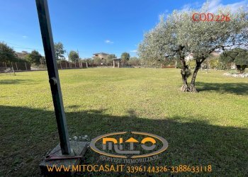 Foto 113 - Villa San Salvatore Telesino - foto 113