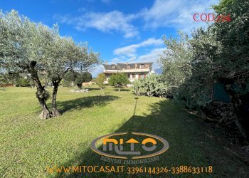 Foto 114 - Villa San Salvatore Telesino - foto 114