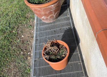 Foto 132 - Villa San Salvatore Telesino - foto 132