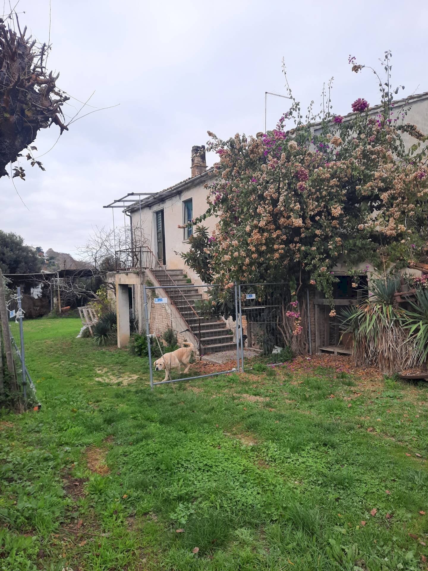 Foto 2 - Rustico C.da Paienico, Altidona - foto 2