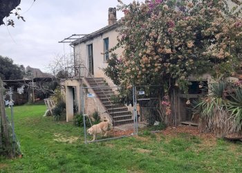 Foto 2 - Rustico C.da Paienico, Altidona - foto 2