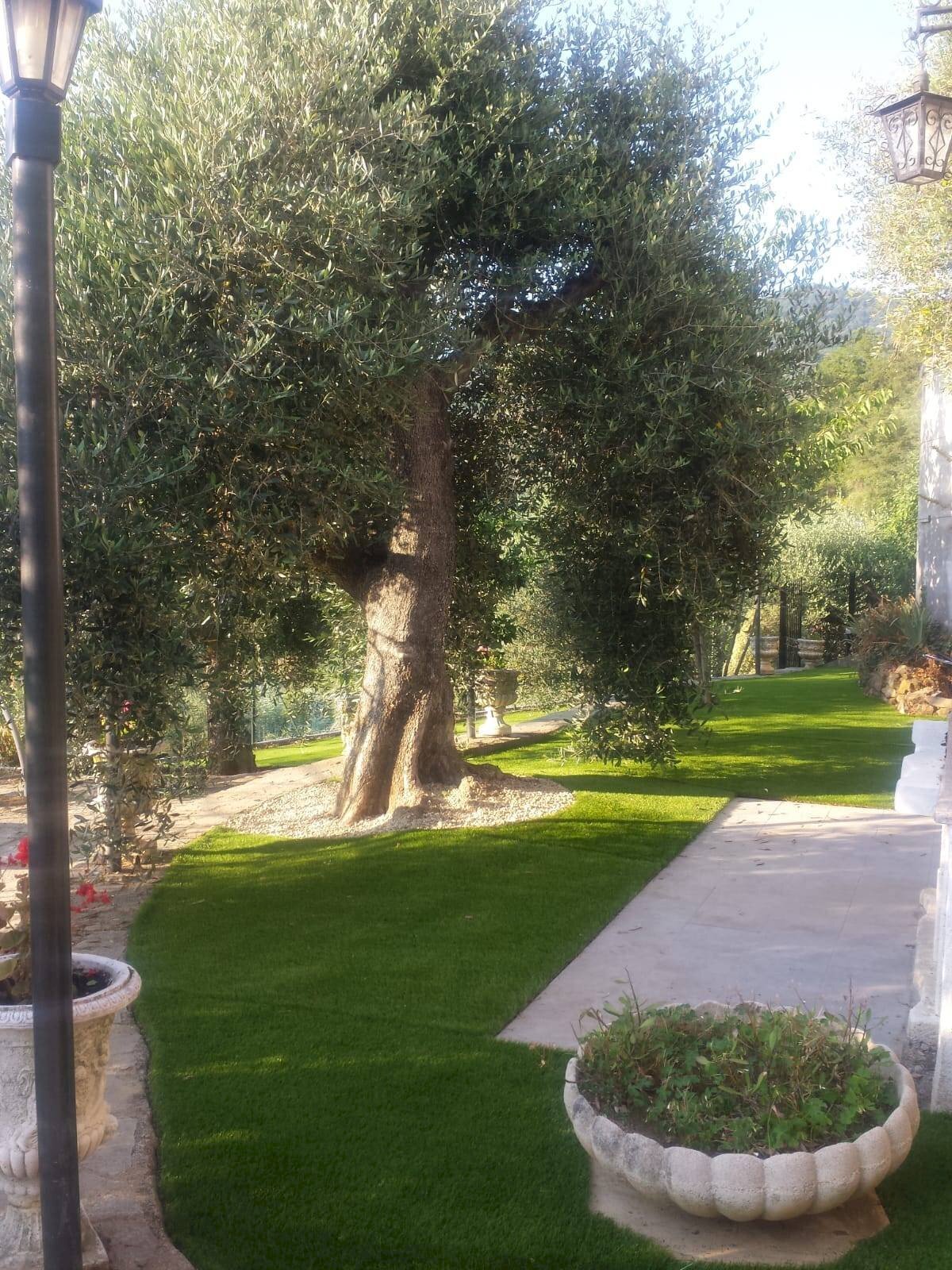 Foto 1 - Independent house Perinaldo - photo 1