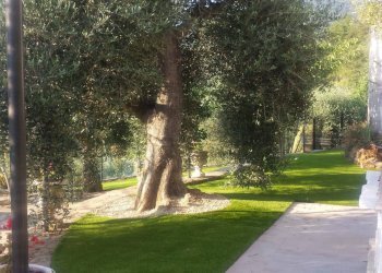 Foto 1 - Independent house Perinaldo - photo 1