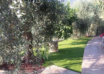 Foto 9 - Independent house Perinaldo - photo 9