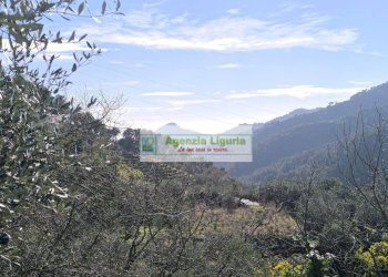 Foto 26 - Casa indipendente Perinaldo - foto 26