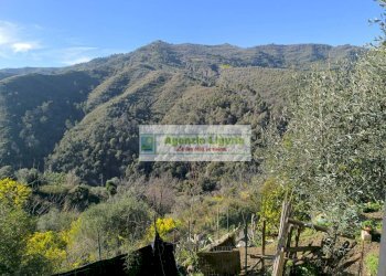 Foto 27 - Casa indipendente Perinaldo - foto 27