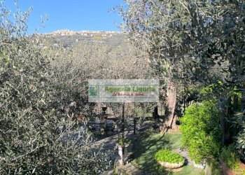 Foto 30 - Casa indipendente Perinaldo - foto 30