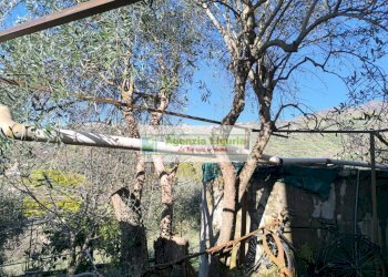 Foto 33 - Casa indipendente Perinaldo - foto 33