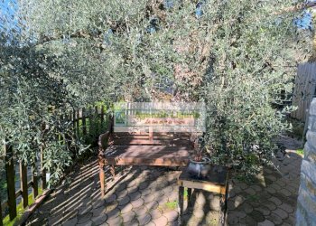 Foto 36 - Casa indipendente Perinaldo - foto 36