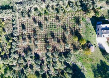 Posizione della mappa - Rustico Santa Maria dei Mesi
 
9, Lanciano - foto 76