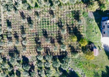 Posizione della mappa - Rustico Santa Maria dei Mesi
 
9, Lanciano - foto 77