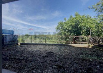 Giardino - Casa indipendente Arielli - foto 21