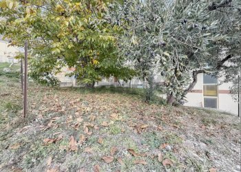 Giardino - Quadrilocale Via Provinciale Taranta Peligna
 
10, Lama dei Peligni - foto 47