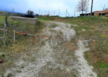 Giardino - Terreno edificabile Contrada Clementi
 
snc, Castel Frentano - foto 4