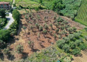 Giardino - Terreno edificabile San Vito Chietino - foto 6