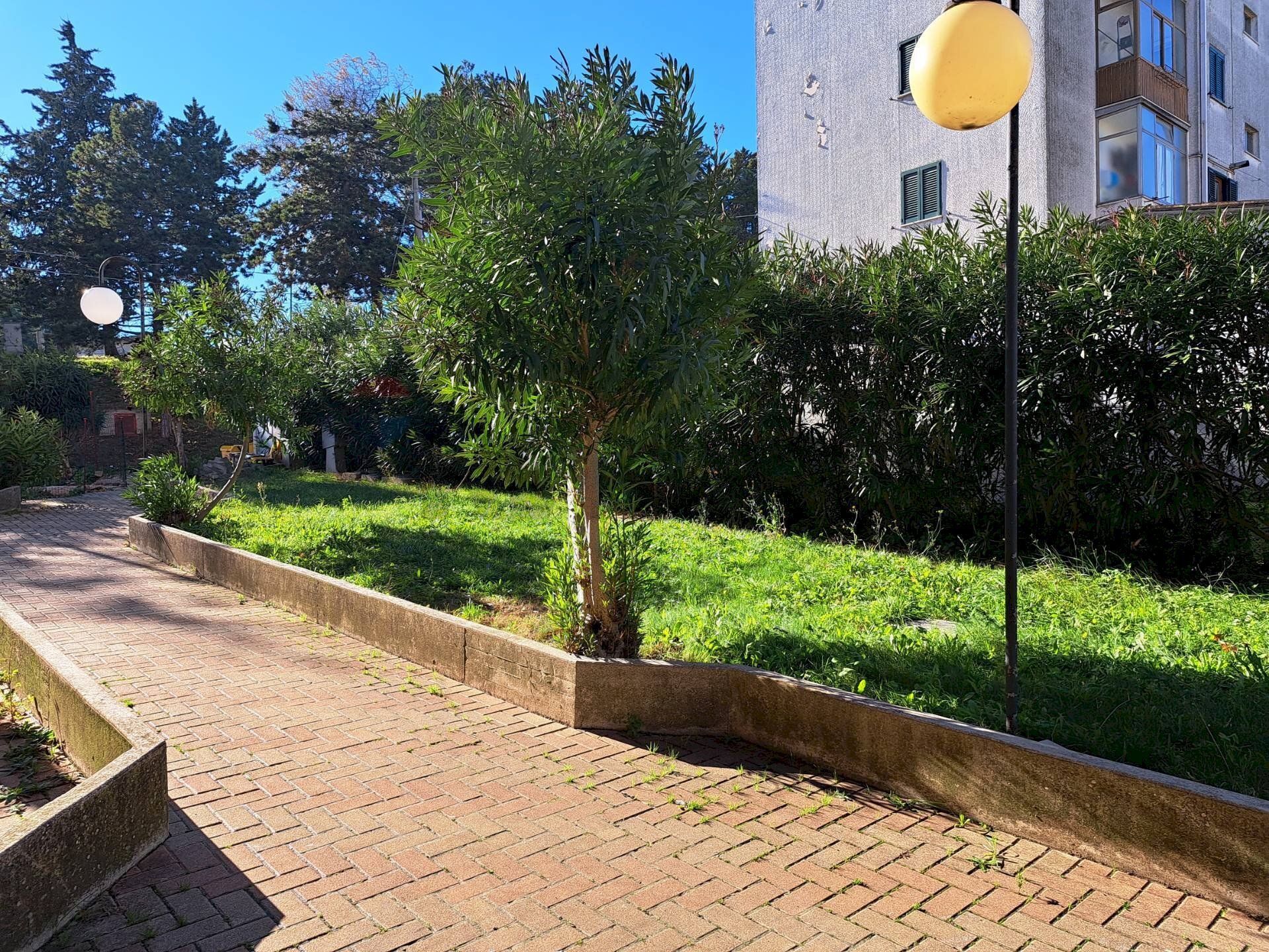 Giardino - Appartamento Via Nazionale
73, Castel Frentano - foto 2