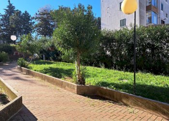 Giardino - Appartamento Via Nazionale
 
73, Castel Frentano - foto 2