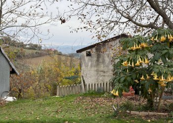 Giardino - Casa semi indipendente Via Sciusciardo
 
109, Guardiagrele - foto 22