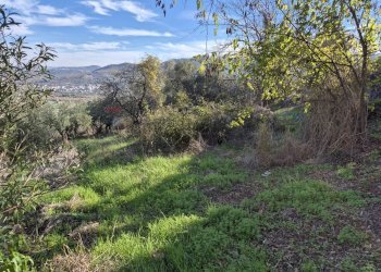 Vista delle montagne - Casa indipendente Contrada Briccioli
 
8, Altino - foto 37