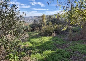 Vista delle montagne - Casa indipendente Contrada Briccioli
 
8, Altino - foto 38