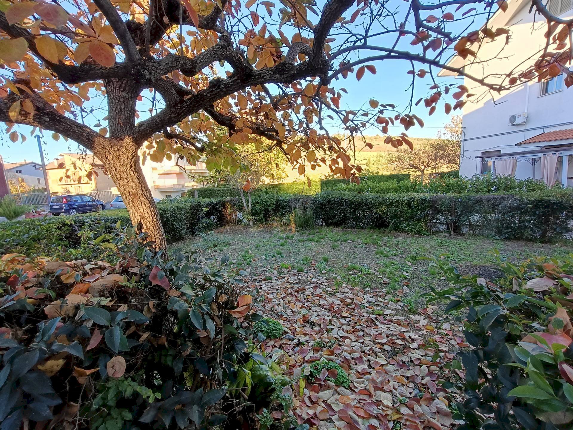 Giardino - Appartamento C.da Colle Comune
9/1, Atessa - foto 2