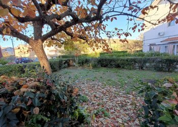 Giardino - Appartamento C.da Colle Comune
 
9/1, Atessa - foto 2