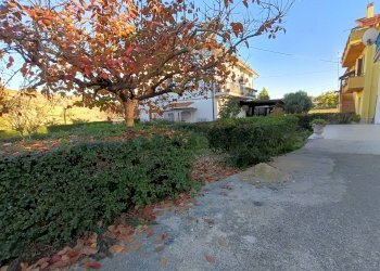 Giardino - Appartamento C.da Colle Comune
 
9/1, Atessa - foto 30