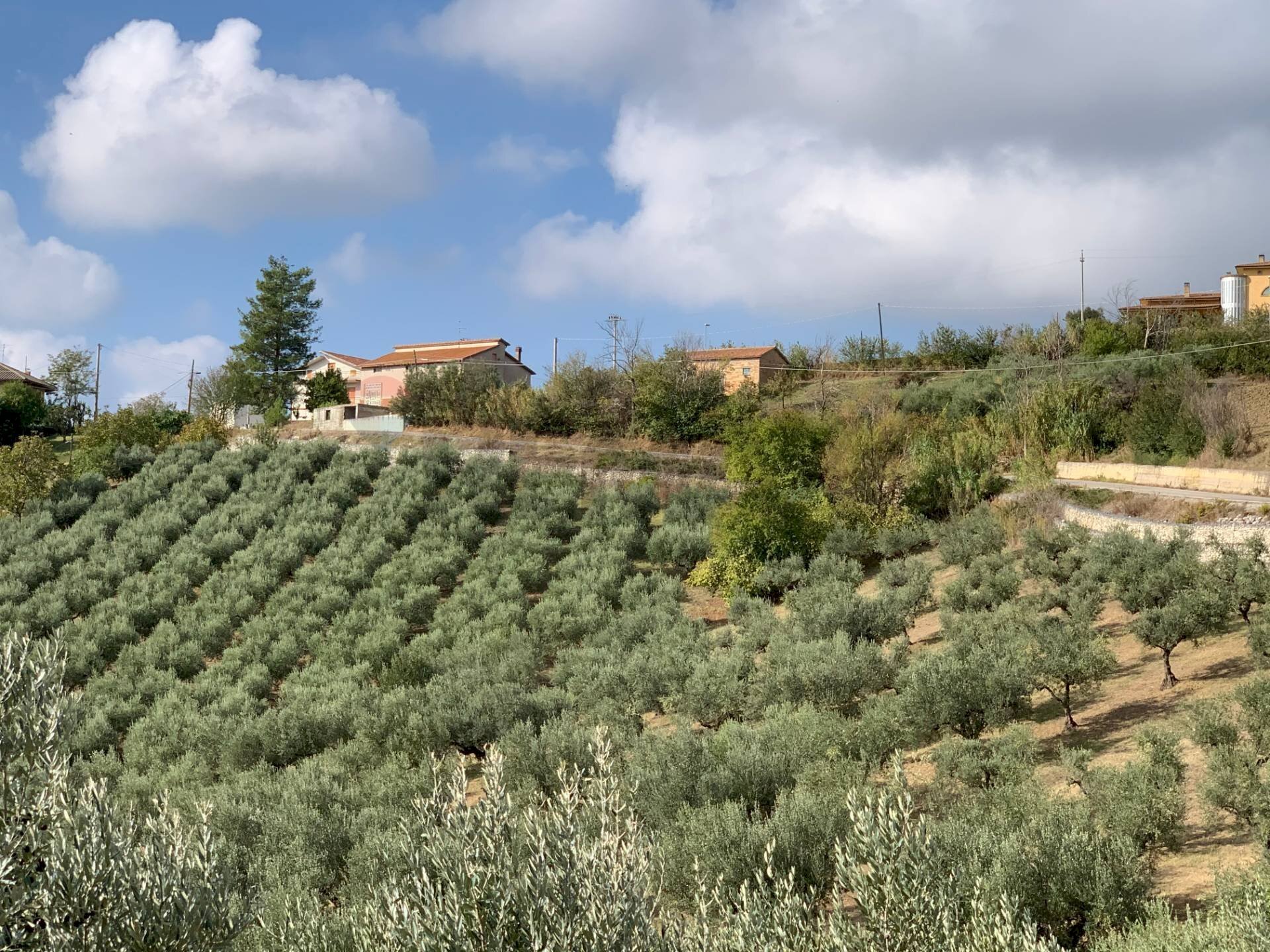 Giardino - Independent house Sant'Eusanio del Sangro - photo 3