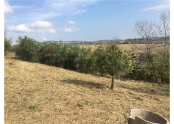 Giardino - Casa indipendente Sant'Eusanio del Sangro - foto 18