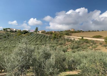 Vista delle montagne - Casa indipendente Sant'Eusanio del Sangro - foto 28