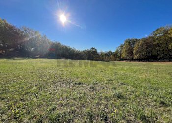 Giardino - Rustico Fara San Martino - foto 6