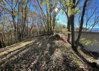 Giardino - Rustico Fara San Martino - foto 15