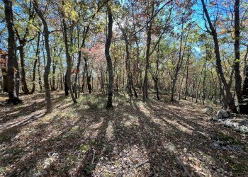 Giardino - Rustico Fara San Martino - foto 46