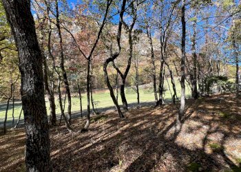 Giardino - Rustico Fara San Martino - foto 48