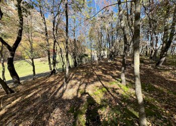 Giardino - Rustico Fara San Martino - foto 49