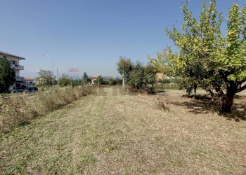 Giardino - Casa indipendente Paglieta - foto 45