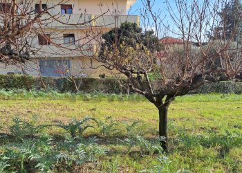 Giardino - Terreno edificabile Via Piane
 
119, Bucchianico - foto 5