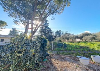 Giardino - Villa Via delle Rose
 
4, Sant'Eusanio del Sangro - foto 96