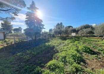 Non correlato - Villa Via delle Rose
 
4, Sant'Eusanio del Sangro - foto 98