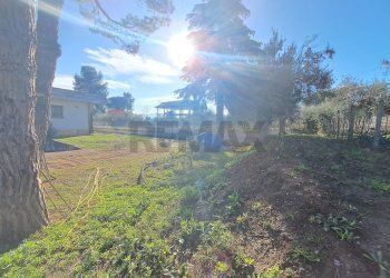 Giardino - Villa Via delle Rose
 
4, Sant'Eusanio del Sangro - foto 100