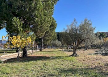 Giardino - Terreno edificabile Via per Treglio, Lanciano - foto 5