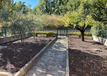 Giardino - Villa a Schiera Via del Campo Sportivo
 
11, Casoli - foto 21