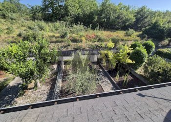 Giardino - Terraced Villa Via del Campo Sportivo
 
11, Casoli - photo 21