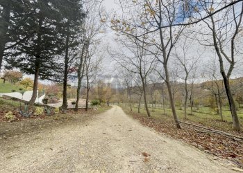 Giardino - Casa indipendente Montebello di Bertona - foto 83