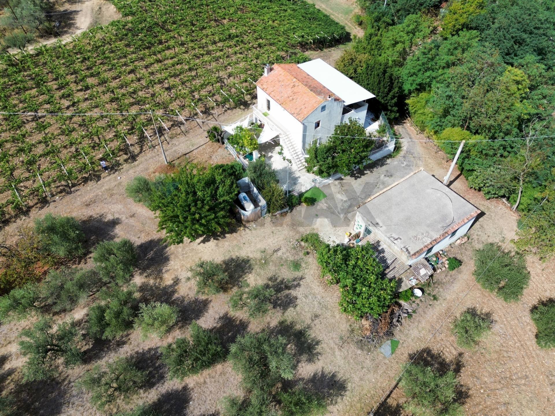 Casa all\'aperto - Independent house Rocca San Giovanni - photo 1