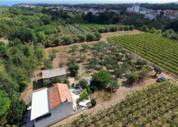 Vista delle montagne - Casa indipendente Rocca San Giovanni - foto 8