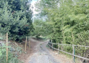 Giardino - Casa indipendente Rocca San Giovanni - foto 11