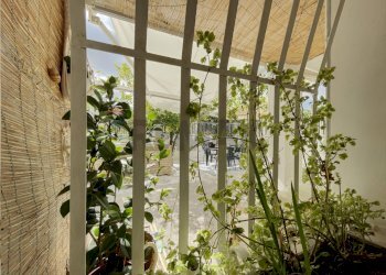 Balcone - Casa indipendente Rocca San Giovanni - foto 18